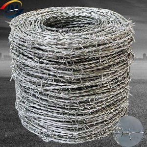[Hot Item] Barbed Wire Wall Spike/Galvanized Concertina Razor Barbed Wire/Hot-DIP Galvanized Razor Wire
