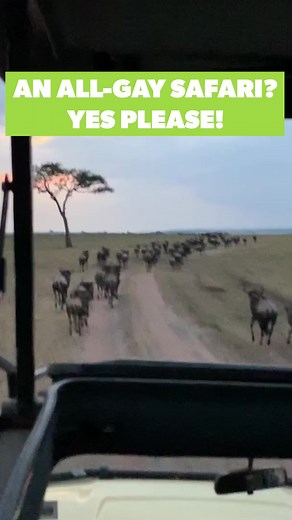 🦒 Embark on the adventure of a lifetime. Experience world-class game drives where the safari originated on our Kenya: Safaris & Savannahs tour! You'll stay in authentic yet luxurious tents and lodges in Amboseli National Park and Masai Mara National Reserve, where our local guide will point out prides of lion, herds of buffalo, and dazzles of zebra. Witnessing the Great Wildebeest Migration will be an unforgettable highlight. By the end of the tour, you'll likely have spotted The Big Five, witn
