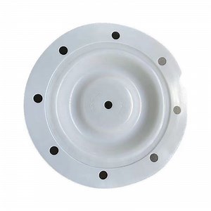 [Hot Item] Replacement Repair Kit Parts 93111 PTFE Diaphragm Membrane for Aro Diaphragm Pump