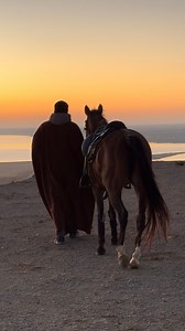 [🇪🇬 DESTINATION EGYPTE] Avis aux amateurs de chevauchées galopantes ! --- 📍 Moyen Orient et Afrique du Nord > Egypte ⏳ De 6 à 9 jours (De 4 à 7 à cheval) 🐎 Avancé.e.s - Ouvert aux non cavaliers En explorant l'Egypte à dos de magnifiques chevaux arabes, vous serez subjugué par la verdoyante vallée du Nil, les temples majestueux, les villes anciennes et les sanctuaires, témoins de la grandeur des pharaons. Une aventure riche en expériences vous attend : chevauchées inoubliables, baignades avec