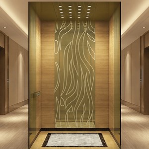 [Hot Item] Luxurious Marble Flooring Transforms Private Villa Spaces Villa Elevator