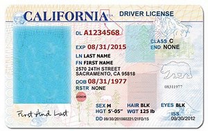 Drivers Licence Id Template