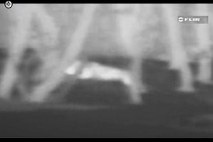 Mountain Wolf ( Part - 11)[ हिन्दी डॉक्यूमेंट्री ] #wildlife #nature #fishing #discovery #discoverychannel #jungle #viralvideo | worldnaturehdtv