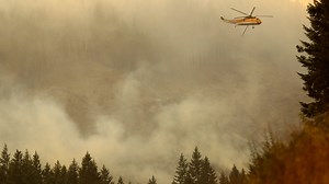 Milepost 97 Fire: Crews remove hazardous trees on I-5, fire now 15% contained