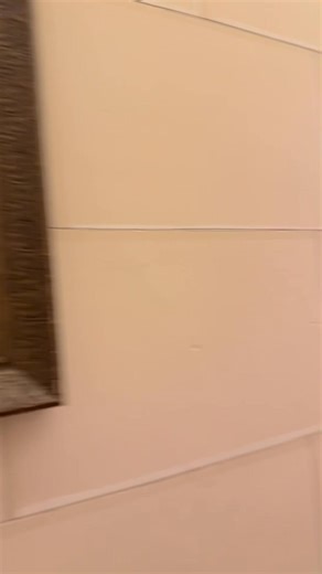 Shara McKee on Reels