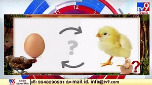 639K views · 7K reactions | కోడి ముందా? గుడ్డు ముందా? | శతాబ్దాల ప్రశ్నపై సైంటిస్టుల సెన్సేషనల్ రీసెర్చ్! - TV9 | TV9 Telugu | Facebook