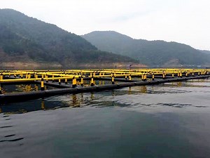 [Hot Item] Offshore Fish Cage Aquaculture HDPE Fish Cage