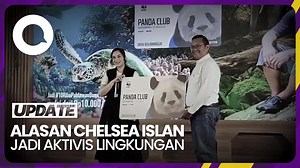 Wah... Chelsea Islan kini aktif jadi salah satu anggota komunitas pelestari lingkungan bersama WWF Indonesia. Apa yang menjadi alasan dirinya untuk bergabung ya detikers? 🤔 >> https://dtk.id/NXrdc4 | detikhot