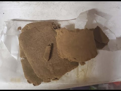 Live Adult Chat Room | 18+ Open Panel | Talk, Chill & Meet New People