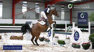 5.3K views · 37 reactions | JANUS DE VAINS  5yo gelding by Emerald...