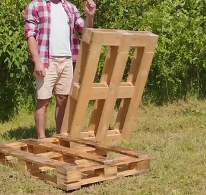 Cozy Homes for Rescued Animals | 5-Minute Crafts UK