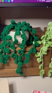 Meet Perla, a super cute string of pearls plant 🌿 #crochet #crafts #crochetplant #pearls #stringofpearls #cactus #succulent #hangingplant #hangingpot #plant #plants | Crochet Nature