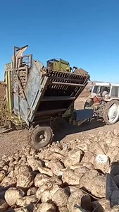 48K views · 402 reactions | tik tok | cartoon cartoon | gana | #tiktok | #viral | #shortsvstiktok | #youtubeshorts #maikalyt @maikal__yt | Maikal YT | Facebook