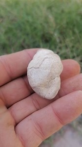 Caracol | México antiguo culturas ancestrales de México