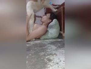 Amateur Dog Blowjob - Extreme Beastiality Videos