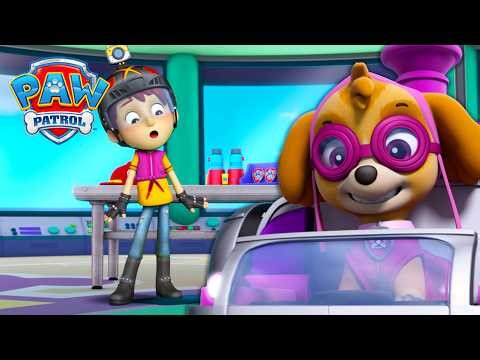 Double Rescue! Danny & Mayor Goodway Need PAW Patrol! | PAW Patrol | Compilation