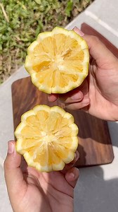 1.6K views · 34 reactions | Nuestro cuchillo de Chef incluye funda y grabado personalizado 殺 #cuchillo #cuchillos #cuchilloartesanal #gourmet #gourmetfood #fyp #viral #charcuterie #cocinero #cocina #parrillero #recetas #hechoamano #hechoenmexico #artesanal #chef #chefmode #chefs | Madre Sierra | Facebook