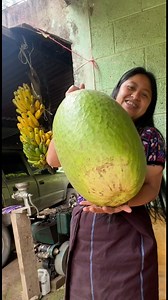 157K views · 3.8K reactions | Preparé un enorme y delicioso  chilacayoye  | Gladiz y Marty Cuchumatán | Facebook