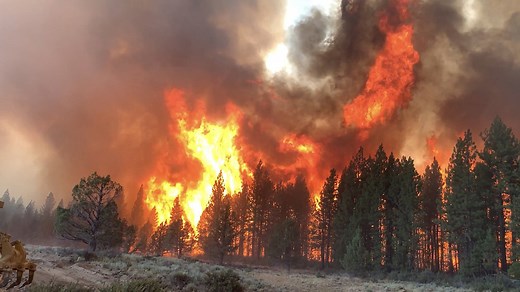 Firefighters on frontlines of Bootleg Fire: 'We've never seen anything like this'
