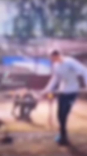 Exploring Japanese Newspaper Predictions and Insights