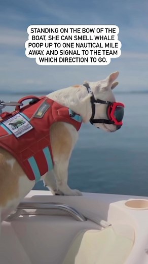 10K views · 203 reactions | We’ve all been caught telling our own...