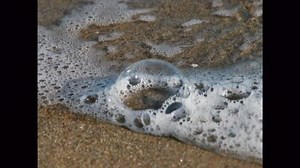 SALMO DEL DÍA Sal 148, 1-2. 11-14 R. ¡Llenos están los cielos y la tierra de tu gloria! Alaben al Señor desde el cielo, alábenlo en las alturas; alábenlo, todos sus ángeles, alábenlo, todos sus ejércitos. R. Los reyes de la tierra y todas las naciones, los príncipes y los gobernantes de la tierra; los ancianos, los jóvenes y los niños. Alaben el Nombre del Señor.R. Alaben el Nombre del Señor. Porque sólo su Nombre es sublime; su majestad está sobre el cielo y la tierra, y Él exalta la fuerza de 