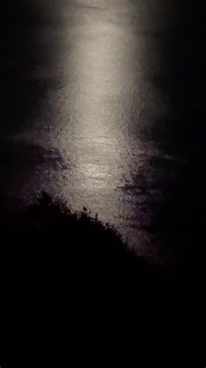 26K views · 281 reactions | What? | SailCork.com | Facebook