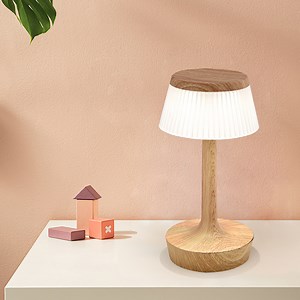 [Hot Item] Portable Powered LED Battery Clear Dining Luxury Restaurant Table Lamp