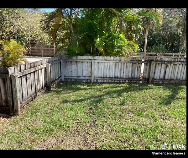 #softwash #pressurewashing #fencewashing #americancleaninginnovations #exteriorcleaning