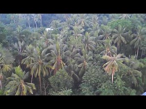 Syma X5UC Camera Test (Amateur Shot and RAW)5PM GMT+8