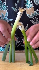 Kookooye Piazcheh is a fast and simple, yet delicious dish from Iran. In Persian cuisine, Kookoo is the name for dishes that are made of a mixture of ingredients and then pan-fried, like a frittata. They often have eggs as a base ingredient but not always. This particular Kookoo recipe is made of an egg and spring onion/scallion mixture, which is why you could call it a spring onion omelette or scallion omelet. Find the recipe link on my bio page. 💚 کوکوی پیازچه یکی از بسیار کوکوهای ایرانیست که