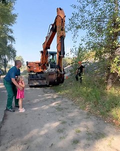 How an Excavator Operator Became a Hero by Saving a Kitten | Girly Panda