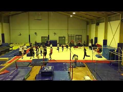 Teen/Adult Gymnastics Class Warmup