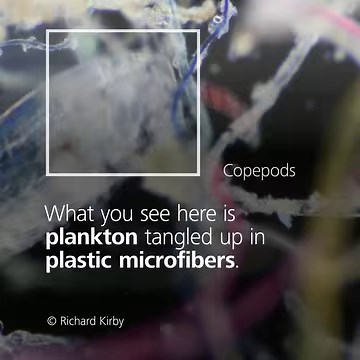 1.1K views · 33 reactions | Microplastics are the most common type of plastic in the ocean. Since these tiny particles are not visible to the naked eye, it is crucial that researchers and videographers like Richard Kirby identify them with microscopy to understand their impact on the environment. #EarthMonth Learn more: https://zeiss.ly/microplastic  ZEISS Microscopy | ZEISS Axio Zoom #Sustainability | ZEISS Group | Facebook