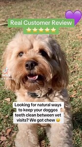 If you’re finding yourself asking “How do I keep my dogs teeth clean between vet visits” discover why WAG Kangaroo Rib Racks are a game changer for doggo dental health at home! Check out Lennon’s mums incredible review of our Kangaroo Rib dog treats that help tackle dental woes naturally. Lennon’s teeth are shining so bright, even her vet noticed! Single ingredient, grain free goodness - no additives, no worries. Treat your dog to good health with WAG dog treats 🫶💚 🎥 @lennon.toy.cavoodle #den