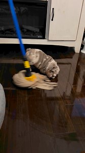 95K views · 2.5K reactions | Tabitha Jefferson Moore on Reels | Facebook