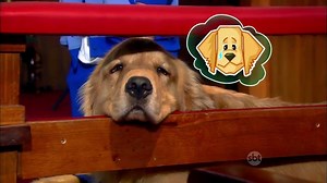 O capítulo foi tão intenso que a gente tem que ver de novo! Na íntegra! http://goo.gl/40qAe2 | Cúmplices de Um Resgate