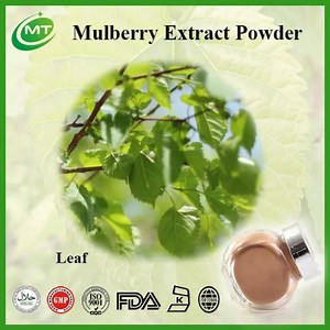 [Hot Item] Mulberry Leaf Herbal Extract Pure Morus Alba Powder Extract
