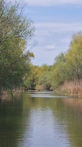 Delta Dunării, cel mai minunat peisaj din țară. | Romania Noastra