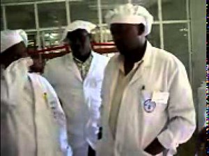 Preparing camel milk for processing