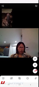 Bbc Flash Chinese Tutor Horrified