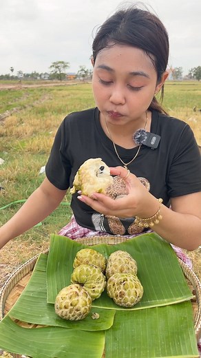 236K views · 835 reactions | Eating custard Apple #foodblogger #fruitlover #asmrsounds #foodlover #eating #food #asmr #fruit #eatingshow | Tasty Bite - Van Din | Facebook