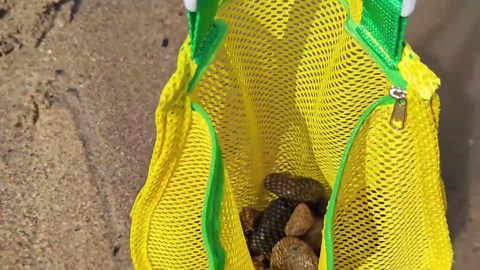 2Pcs Sand Sifter for The Beach, Shark Tooth Sifter, Adjustable Beach Sand Sifter, Sand Scoop Shell Scooper for Beach, Scoop Shovel Beach Sifter for Picking Up Shell