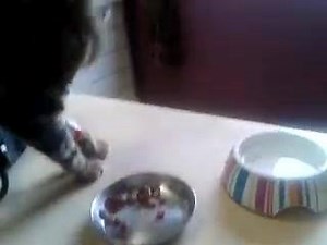 2.3K views · 36 reactions | petite video prise hier a la clinique alle loukas tu va guerir mauvais souvenir | Loukas et Gaspard | Facebook