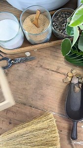 30K views · 2.8K reactions | Miniature terrarium #terrarium #plants #moss #diy | Johnathon Q Swanson | Facebook