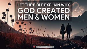 Let the Bible explain why God created men and women.