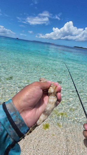 Part 7 | Ramdom catches - GT haha #fishing #fishingislife #fyp #reelsfypシ #anglerlife | Anton Nikolai