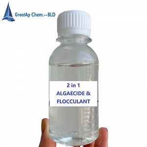 [Hot Item] 2 in 1 Cationic Polyamine Algaecide with Flocculant Swimming Pool Chemicals Multi-Function