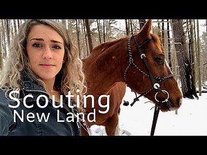 Horseback Ride to Scout Out a New Bushcraft Spot