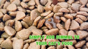 Cat Constipation Relief, Cat Laxative Constipation Relief Liquid Drops, Natural Laxative with 6 Probiotics Stool Softener, Cat Herbal Supplements, Promotes Digestive Health, Chicken Flavour, 60ml